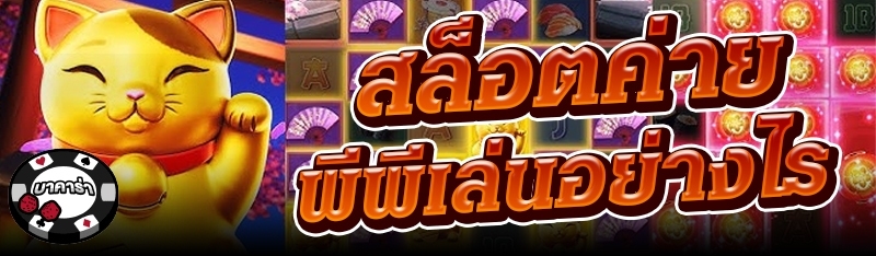 สล็อตค่ายพีพีเล่นอย่างไร?